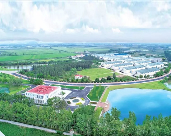 齐河县省级现代农业产业园创建粮食收储服务平台建设项目